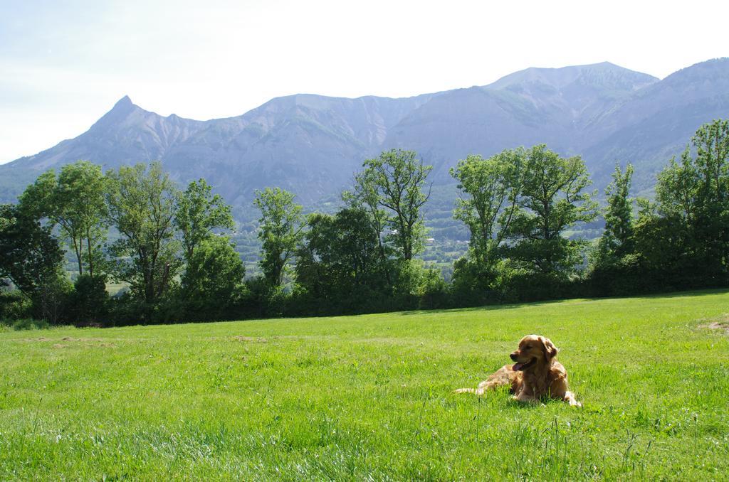 Vvf Les Ecrins Champsaur Ξενοδοχείο Saint-Bonnet-en-Champsaur Εξωτερικό φωτογραφία