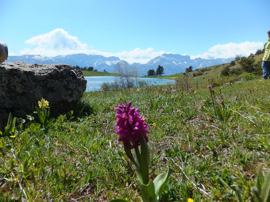 Vvf Les Ecrins Champsaur Ξενοδοχείο Saint-Bonnet-en-Champsaur Εξωτερικό φωτογραφία